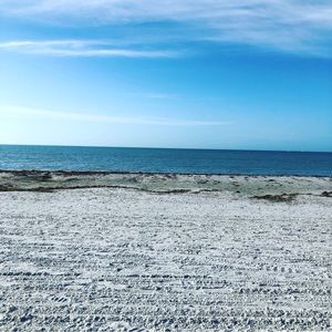 Meet your Posher, Brittny